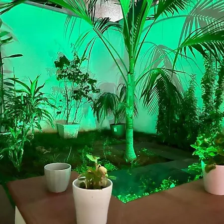 Casa Meravigghia Terrazzo ,giardino E Jacuzzi *